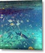 Swimming With A Shark Metal Print