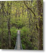 Swinging Bridge In Spring Metal Print