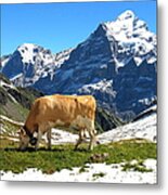 Swiss Scene Metal Print