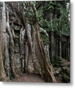 Ta Prohm The Jungle Reclaims Metal Print