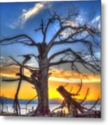 Tahoe Sunset Behind Dead Tree Metal Print