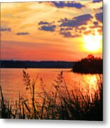 Tall Grass Sunset Smith Mountain Lake Metal Print