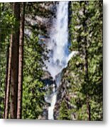 Tall Trees Yosemite Falls Metal Print