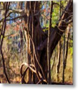 Tangled Vines On Tree Metal Print