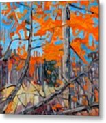 Tangled Tamaracks Metal Print