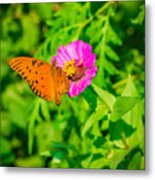 Teacup The Butterfly Metal Print
