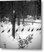 Ten Turkey Stroll On A Thursday, Two Were Out Of Line Metal Print