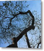 Termite View Metal Print