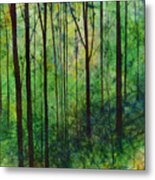 Terra Verde Metal Print