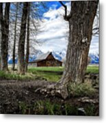 View From Mormon Row Metal Print