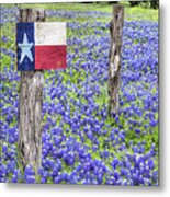 Texas Bluebonnets Metal Print