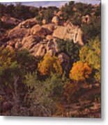 Texas Canyon Autumn Metal Print