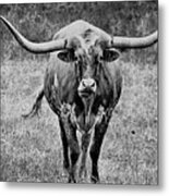 Texas Cowboy Collection Metal Print