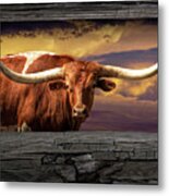 Texas Longhorn Steer At Sunset Looking Through The Fence Rails Metal Print