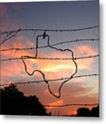 Texas Sunset Metal Print
