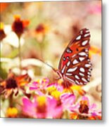 Textured Butterfly Metal Print