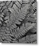 Textures Of The Forest Metal Print