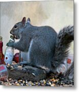 Tgif For This Squirrel Metal Print