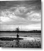 The Approach Metal Print