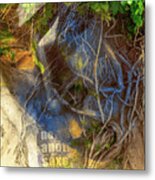 The Beauty And The Old Tree Metal Print