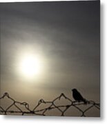 The Bird That Wished She Never Had Wings Metal Print