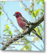 The Birdsong - Spring Quote Metal Print