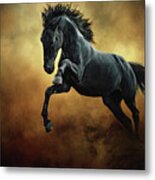 The Black Stallion In Dust Metal Print