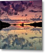 The Bold And The Beautiful Metal Print