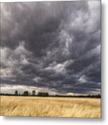 The Calm Before The Storm Metal Print