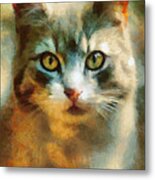 The Cat Eyes Metal Print