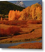 The Cathedral Group From North Of Oxbow Bend Metal Print