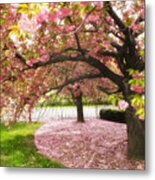 The Cherry Tree Metal Print