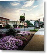 The City Of Flowers Metal Print