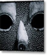 The Cold Stare Metal Print