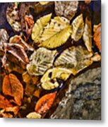The Color Of Fall Metal Print