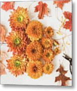 The Colors Of Autumn Metal Print