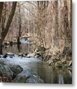 The Creek Metal Print