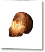 The Crystal Skull On Transparent Background Metal Print