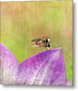 The Dance Of The Hoverfly Metal Print