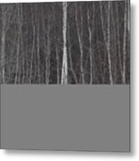 The Dark Beyond The Trees Metal Print