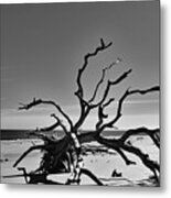 The Dead In Black And White Metal Print