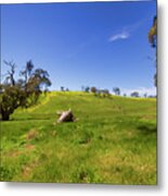 The Distant Hill Metal Print