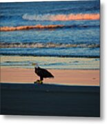 The Eagle Has Landed Metal Print