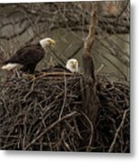 The Eagle's Nest Metal Print