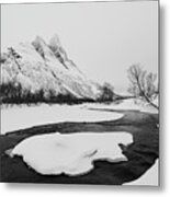 The Elements Of Winter Metal Print
