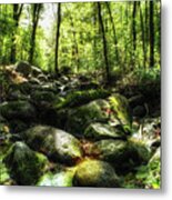 The Emerald Forest Metal Print