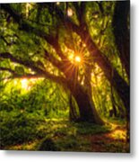 The Emerald Forest Metal Print