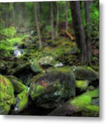 The Enchanted Forest Metal Print