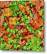 The Fall Of Summer Ii Metal Print