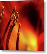 The Fire Within Metal Print